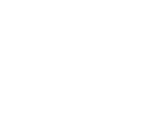 http://wordpress%20developer%20and%20designer%20iffitechsol-%20white%20logo